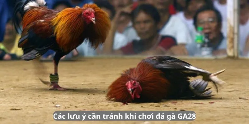 Các lưu ý cần tránh khi chơi