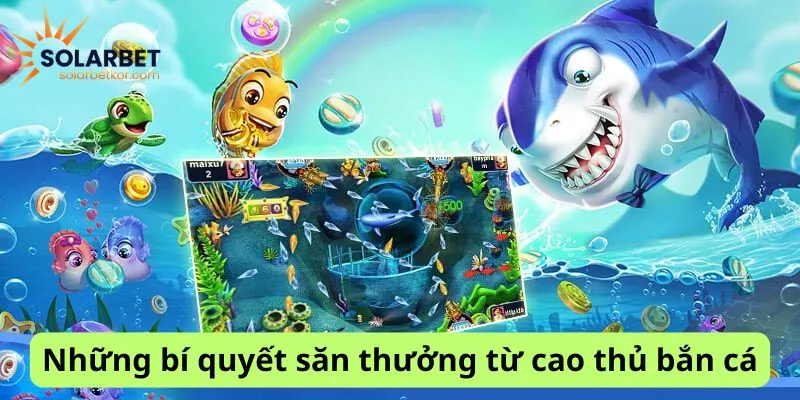 Những bí quyết săn thưởng