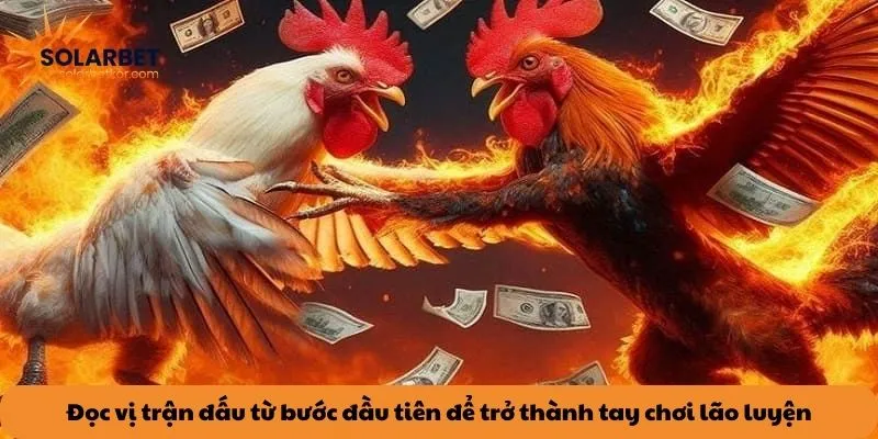 Đọc vị trận đấu từ bước đầu tiên để trở thành tay chơi lão luyện