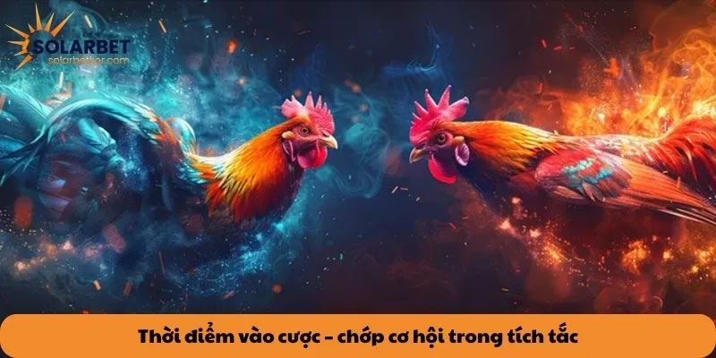 Thời điểm vào cược – chớp cơ hội trong tích tắc