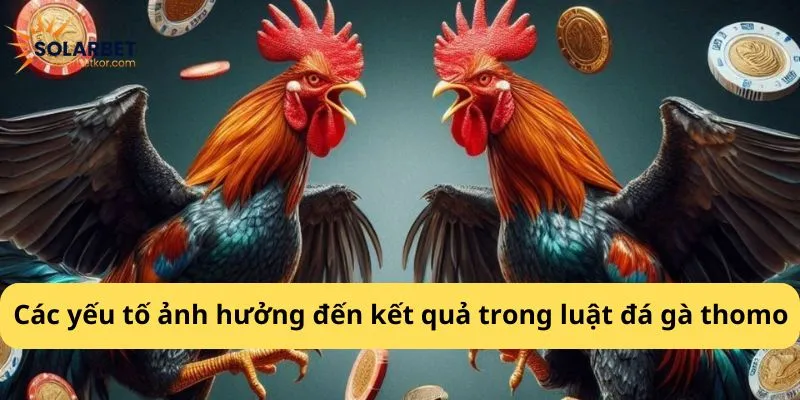 Các yếu tố ảnh hưởng đến kết quả trong luật đá gà thomo